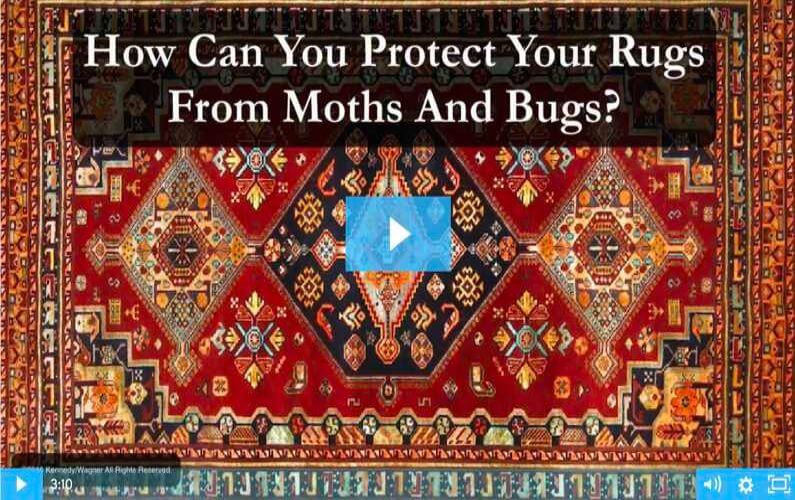Moth And Bug Protection